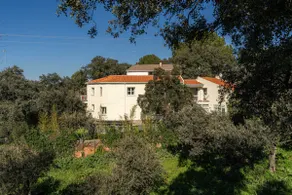Great house with a garden - Image 4