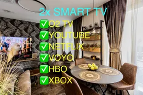 DH Private Flowers Terrace and Sauna Luxury Apartment 2kk, 2x SmartTV-NETFLIX, Free Parking, Gym - Image 5