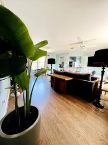 Just INN TIME! 2br/2ba Central ATX, Free parking - Image 3