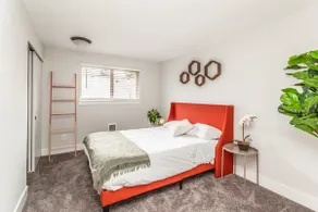 Central Cozy Modern 3Bd Oasis - Image 4