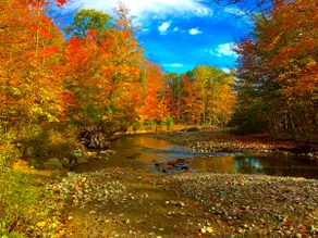 Adirondack Emerald, Bouquet River House Camp - Image 4