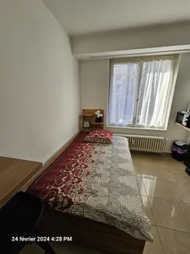 1A Immostrasbourg near the city center and Conseil Europe - Image 2