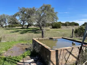 Cow Camp at the Waterlot - Image 5