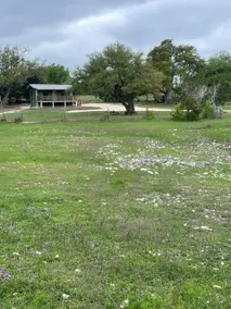 Cow Camp at the Waterlot - Image 2