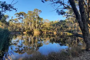 Bush cottage near Castlemaine | dam & pizza oven - Image 2