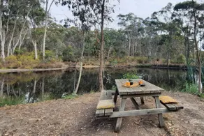 Bush cottage near Castlemaine | dam & pizza oven - Image 5