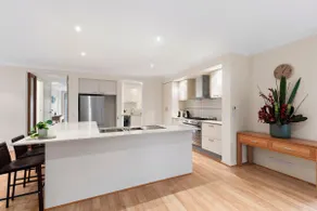 Treetop Living - Image 4