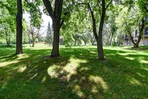 Paoli Den - fully renovated! - Image 5