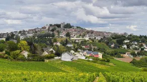 Le Petit Sancerrois - Image 5