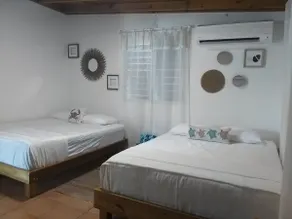 Florazul - Image 3