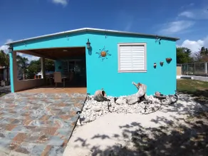 Florazul - Image 2