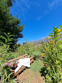 Cabin 2: La Manzanilla - Image 3