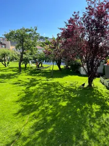 Elin's guesthouse - Image 4