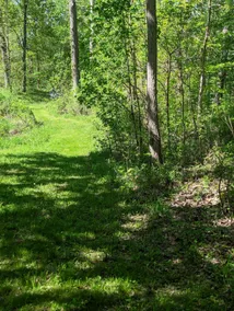 Morton Barn with Trails & Pond, 3 Bedrooms - Image 5