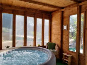 Villa surrounded by greenery with hydro sauna - Image 5