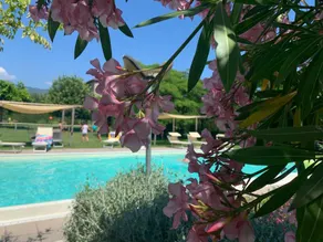 Farmhouse in Barga: ”il Fienile” - Image 3