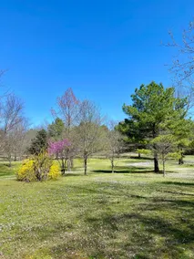 The Weekender-Ouachita Cabin (Cabin 3) - Image 5