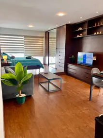 Spectacular Furnished Studio - Image 4