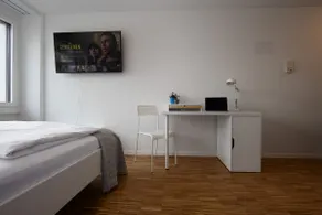 Zurich City - Small Studio - Albisriederplatz 4211 - Image 3