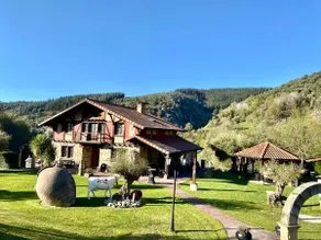 In the middle of nature, close to the city - Image 2