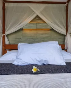 Beachfront Apartment. Natural, peaceful, relaxed - Image 2