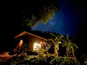 Banyan Retreat: the Nest ガジュマルの隠れ家: 鳥の巣 - Image 4