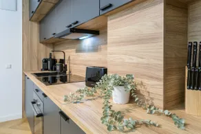 Adler Apartments – with Sauna & space for groups - Image 4