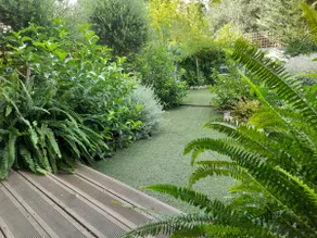 Aura Garden Apartment - Image 5