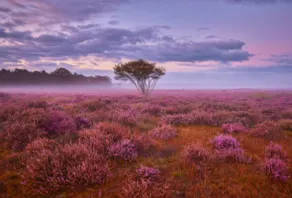 Boutique Lodge Veluwe - Image 3