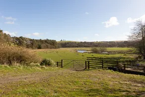 Peaceful Rural Retreat! - Image 4