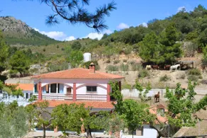 Main House Finca Mas el Bravo - Image 5