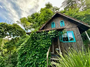 Cottage in the woods - Image 2