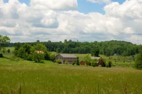 Mulberry Hill Carriage House - Image 4