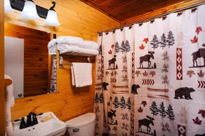 Two-Bedroom Cabin - Image 3