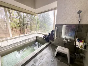 Onsen in the forest! 400m2 garden, BBQ, sauna! - Image 4