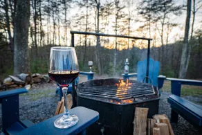 Wooded Circle - Barrel sauna, hot tub, fire pit - Image 3