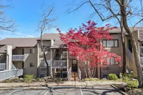The Fairfield Bay “Penthouse” - Image 2