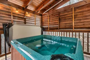 Wildlife & Views! Fall Colors, Hot Tub, Games! - Image 5