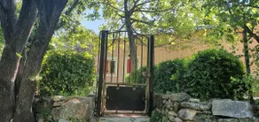 Chris the Orchard - Image 2