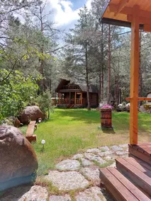 Nice log house under Muhu pines - Image 2