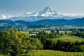 Private Willamette Valley Retreat Near State Park! - Image 2