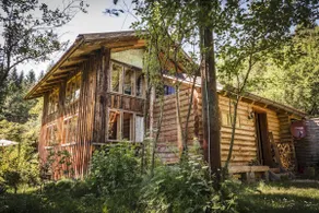 Log cabin in the middle of the forest - Image 3