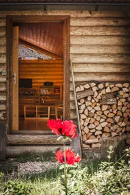 Log cabin in the middle of the forest - Image 5