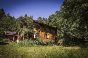 Log cabin in the middle of the forest - Image 4