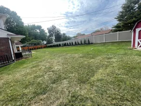 Tranquil, spacious and nice - Image 3