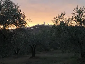 Ulivo Apartment - View of San Gimignano - Image 2