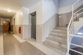 Candal Douro - Image 5