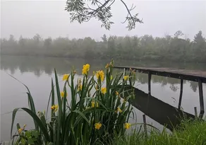 Sit back or jump in at our Restful Lake Getaway! - Image 3