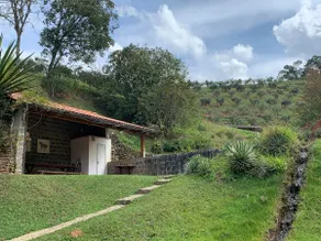 Large House on Farm with Olive Tree - Image 3