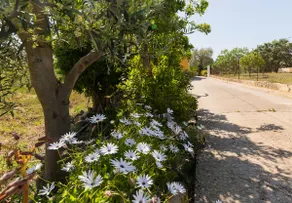 Sa Sini 3 bedrooms with pool, ETV 1742 - Image 3